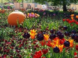 Blumenbeet am Museum