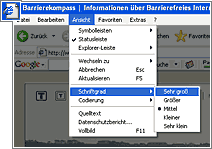 Ausschnitt aus dem Internet Explorer-Browser - Detail zur Vergrößerungsfunktion