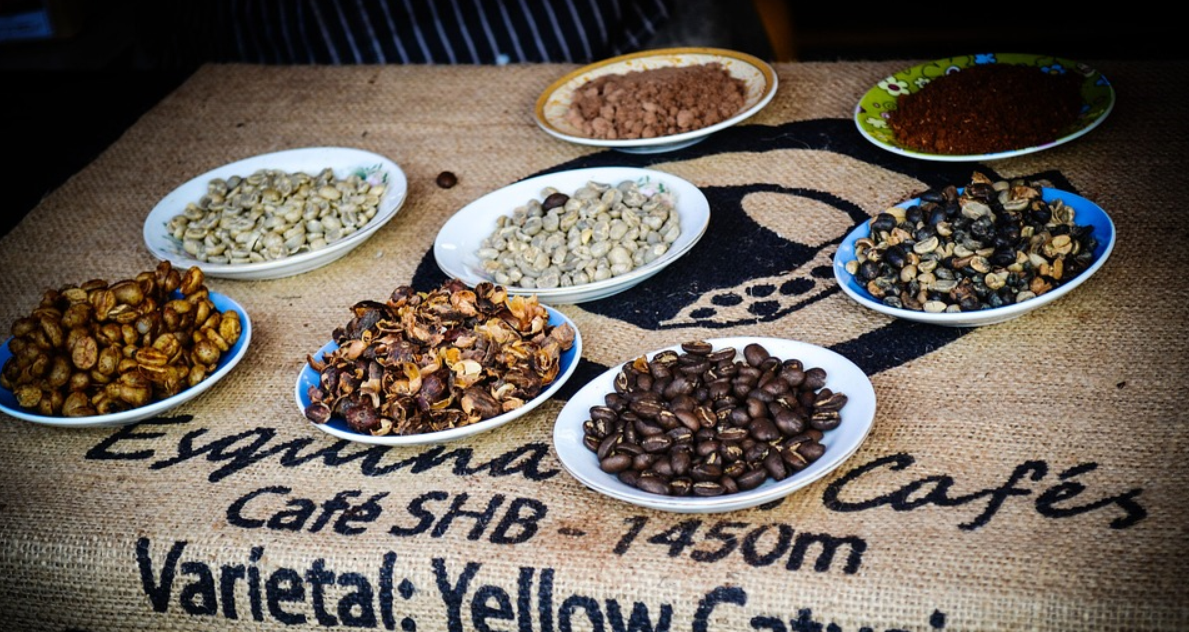 mehrereTeller mit Kaffeebohnen, Rohkaffee und geröstet