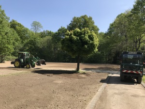 Blühfläche Einsaat Friedhof Eppinghoven April 2020