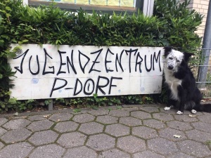 P-Dorf mit Hund "Panda"